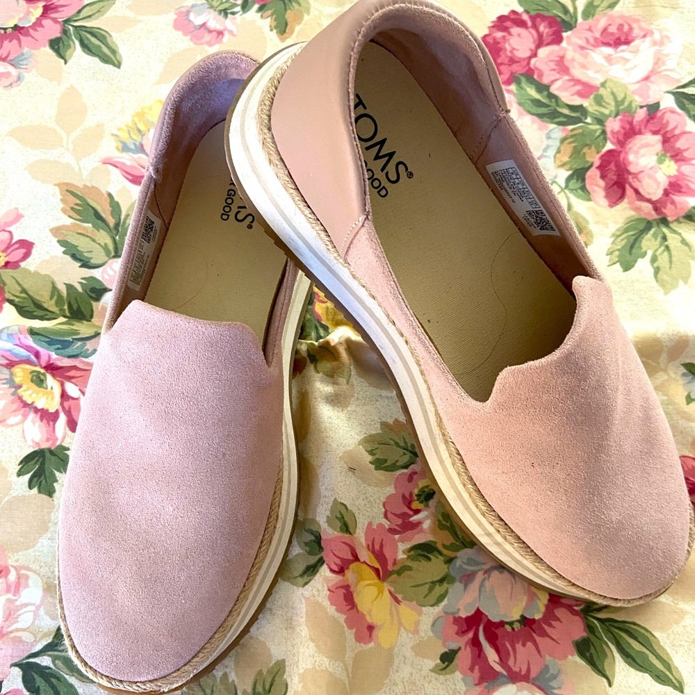 Gorgeous Toms Sneakers